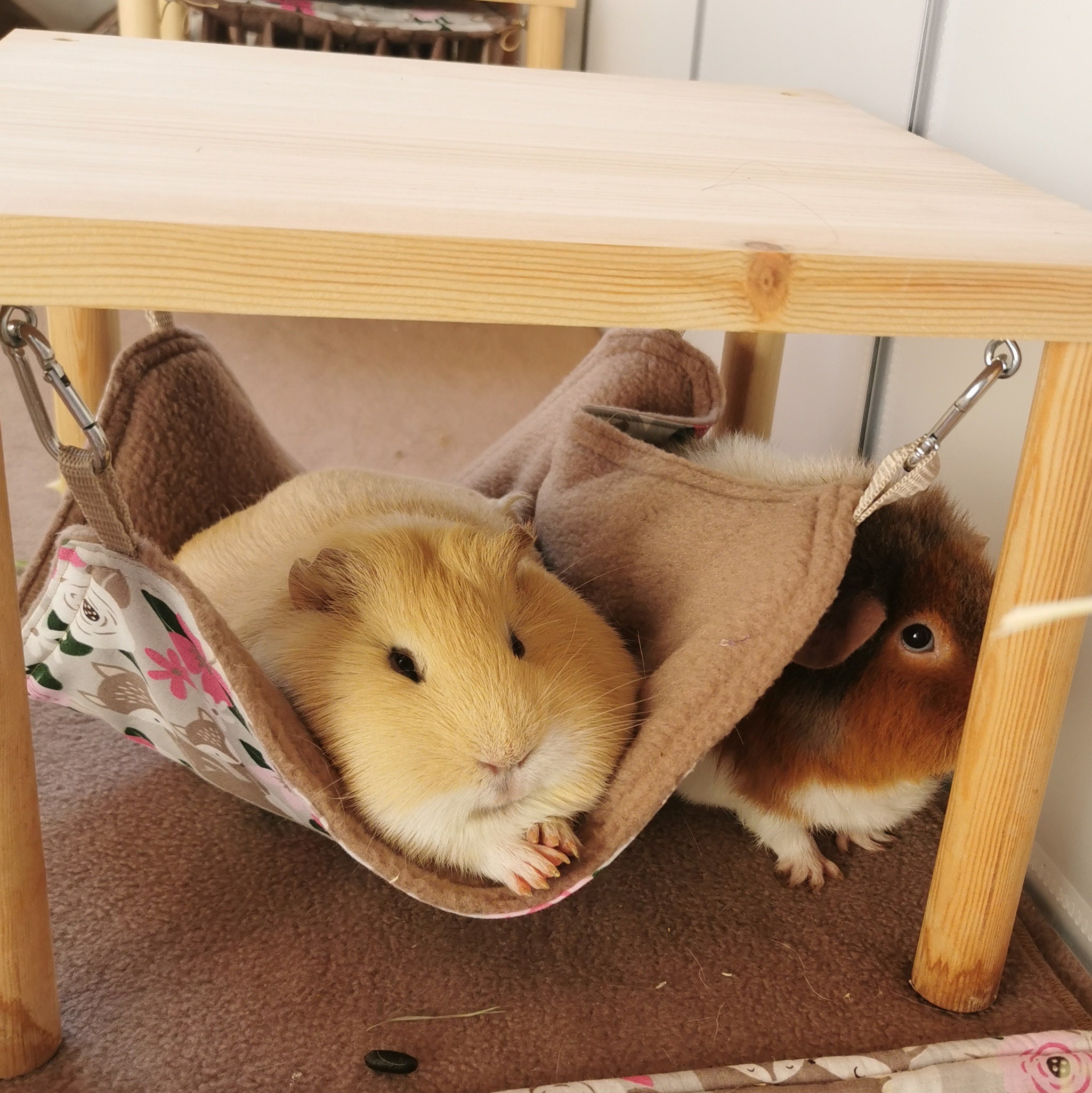 Pee Pad Urineproof Diff. Sizes Large Color Selection for Guinea Pigs