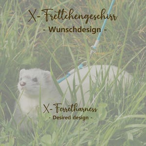 May include: A white ferret with a blue leash, nestled in tall green grass. The image includes text that reads "X-Frettchengeschirr - Wunschdesign - X-Ferretharness - Desired design -."
