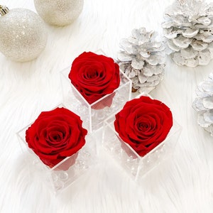 Everlasting Rose - Red - Single Rose