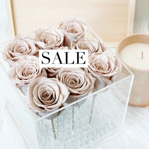 SALE - Everlasting Rose - Champage - 9 Rose Box - SALE