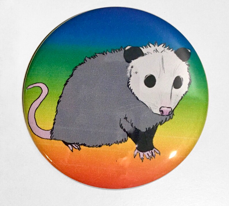 Pride Possum 2 25 Pinback Buttons Patches Pins Accessories Valresa Com