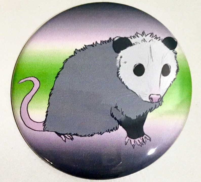 Pride Possum 2 25 Pinback Buttons Patches Pins Accessories Valresa Com