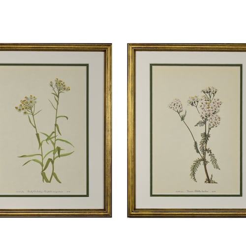 Vintage Botanical Prints Framed Set of 2 Fern Prints Gold Etsy