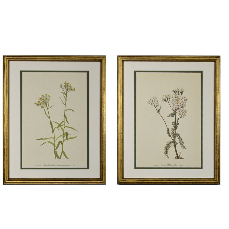 Vintage Botanical - Etsy