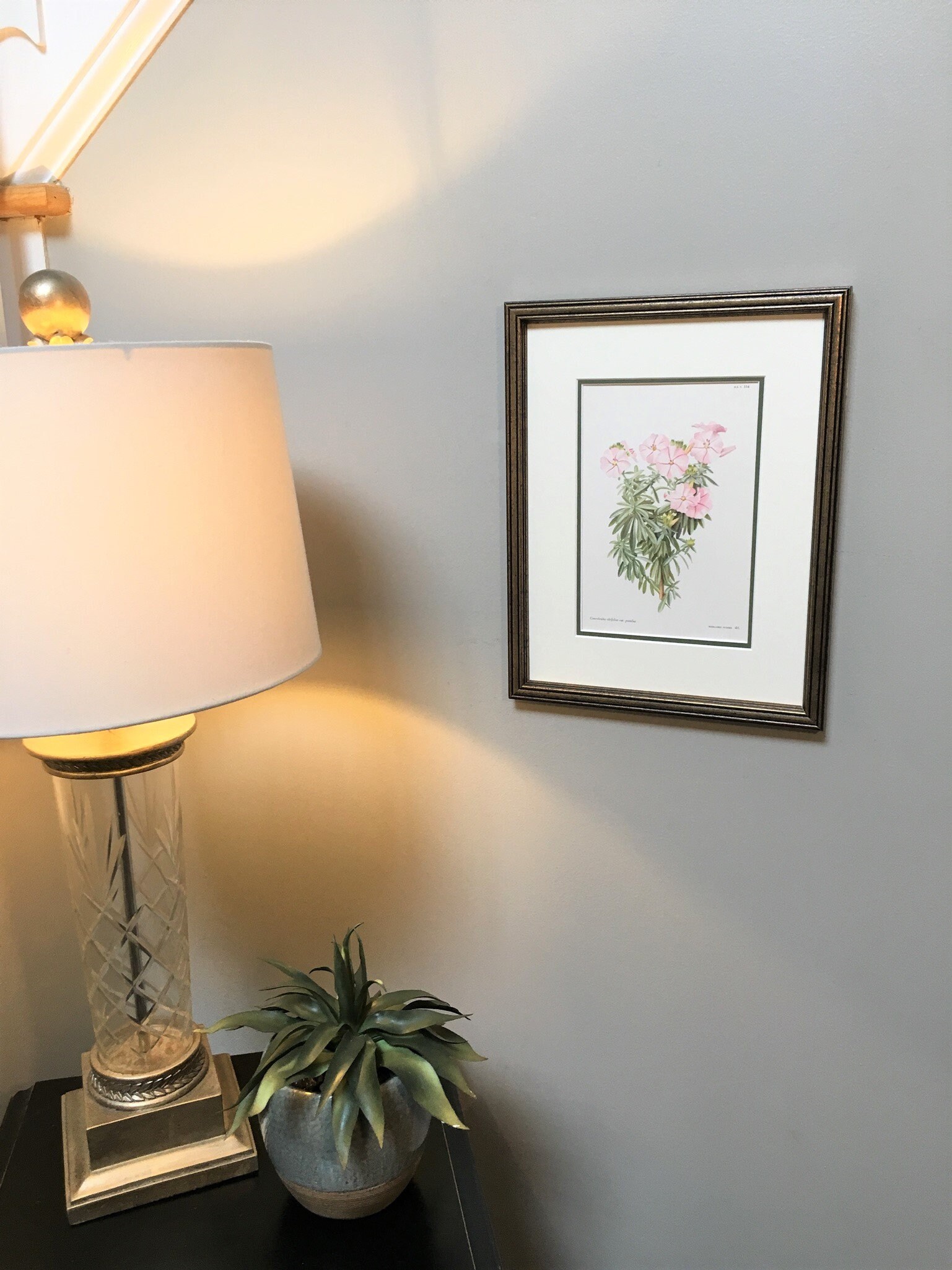 Vintage Botanical Print Framed Original English 1958 Flower | Etsy