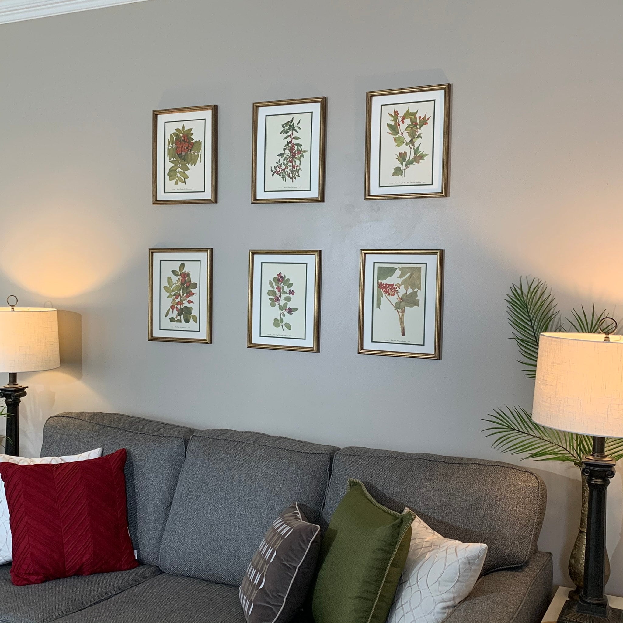 Framed Vintage Botanical Prints, Set of 6, Vintage Christmas