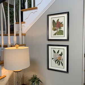 Framed Vintage Botanical Prints, Set of 2 ,Southern Magnolia and Rhododendron Prints-1963 Authentic Wall Decor