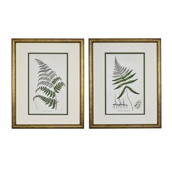 Vintage Botanical Prints Framed Set of 2 Fern Prints Gold | Etsy