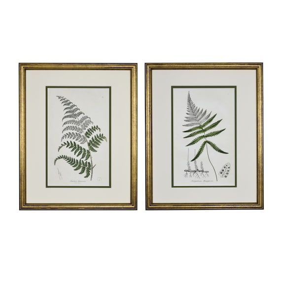 Vintage Botanical Prints Framed Set of 2 Fern Prints Gold | Etsy