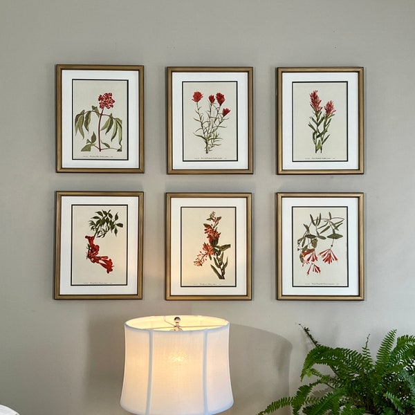 Framed Botanical Prints Etsy