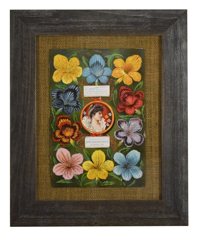 Origianl Circa Late 19th Century Vintage Flower Seed Catalog Cover Original Botanical Framed Vintage Wall Decor