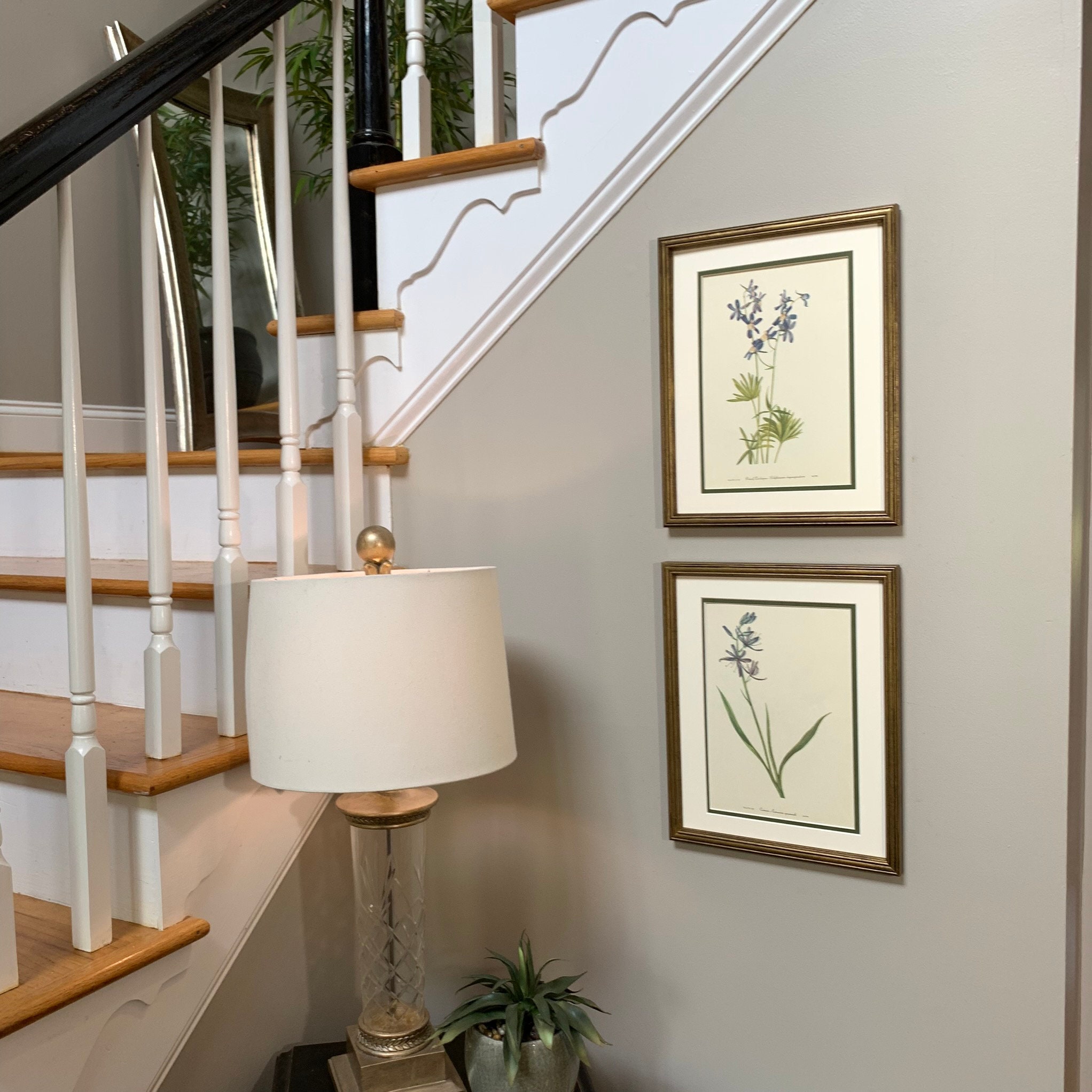 Vintage Botanical Prints Set of 2 Framed Original 1953 Wild | Etsy