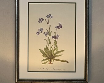 Vintage Botanical Prints, Set of 8 , Silver Framed Botanical