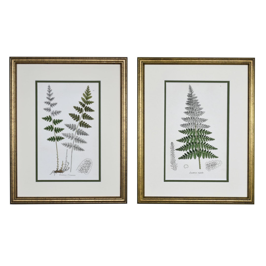 Vintage Botanical Prints, Framed Set of 2 Fern Prints, Framed Wall Art