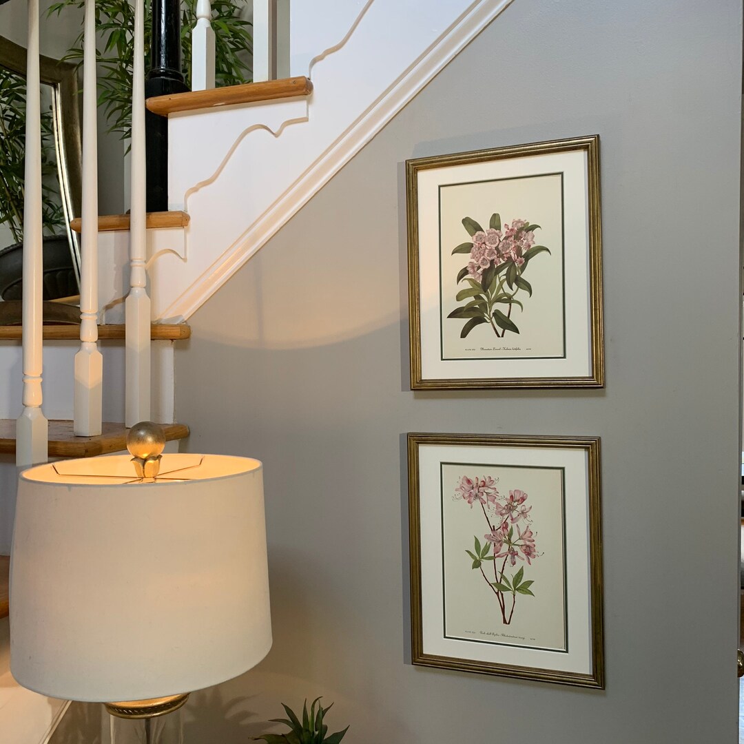 Vintage Botanical Print Set of 2, Framed Original 1975 Wild Flower ...