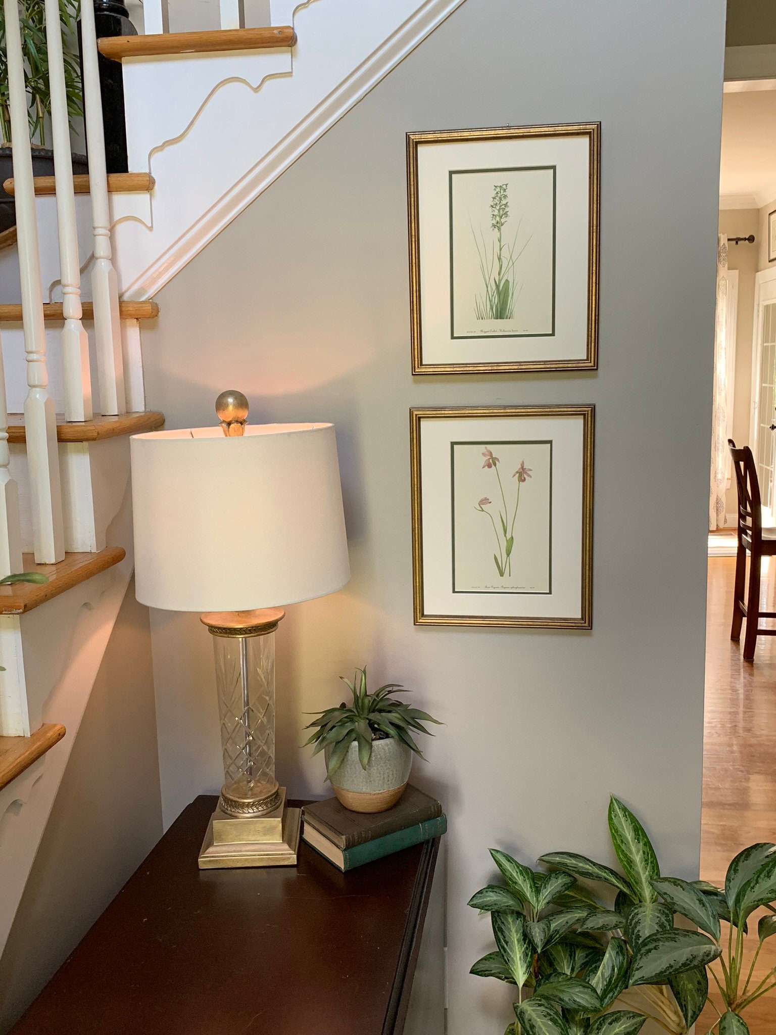 Vintage Botanical Prints Set of 2 Framed Original 1953 Wild | Etsy