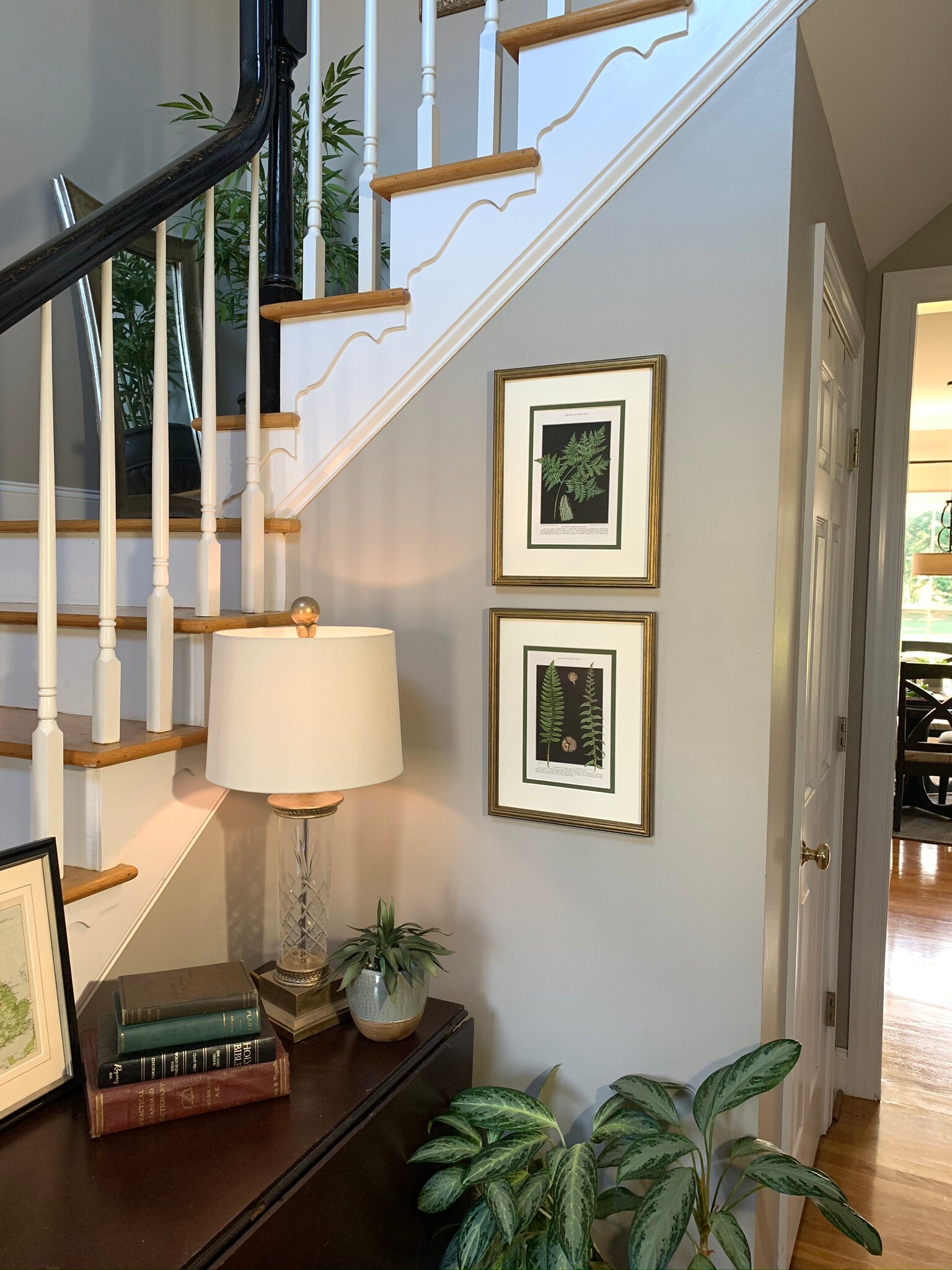 Vintage Botanical Prints Framed Fern Prints set of 2 | Etsy