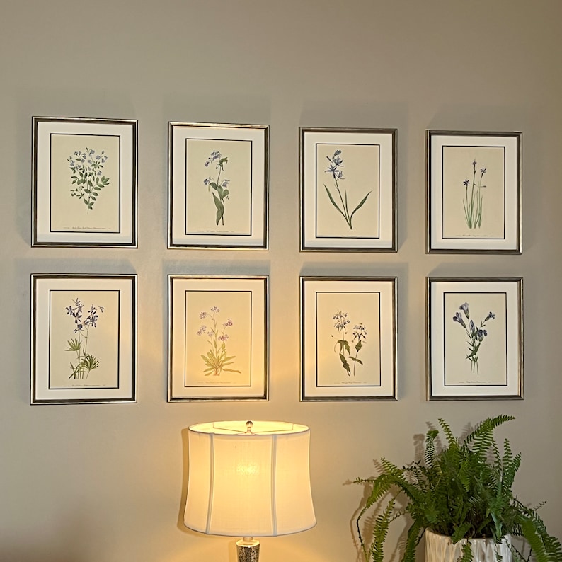 Vintage Botanical Prints Set of 8 Silver Framed Botanical - Etsy