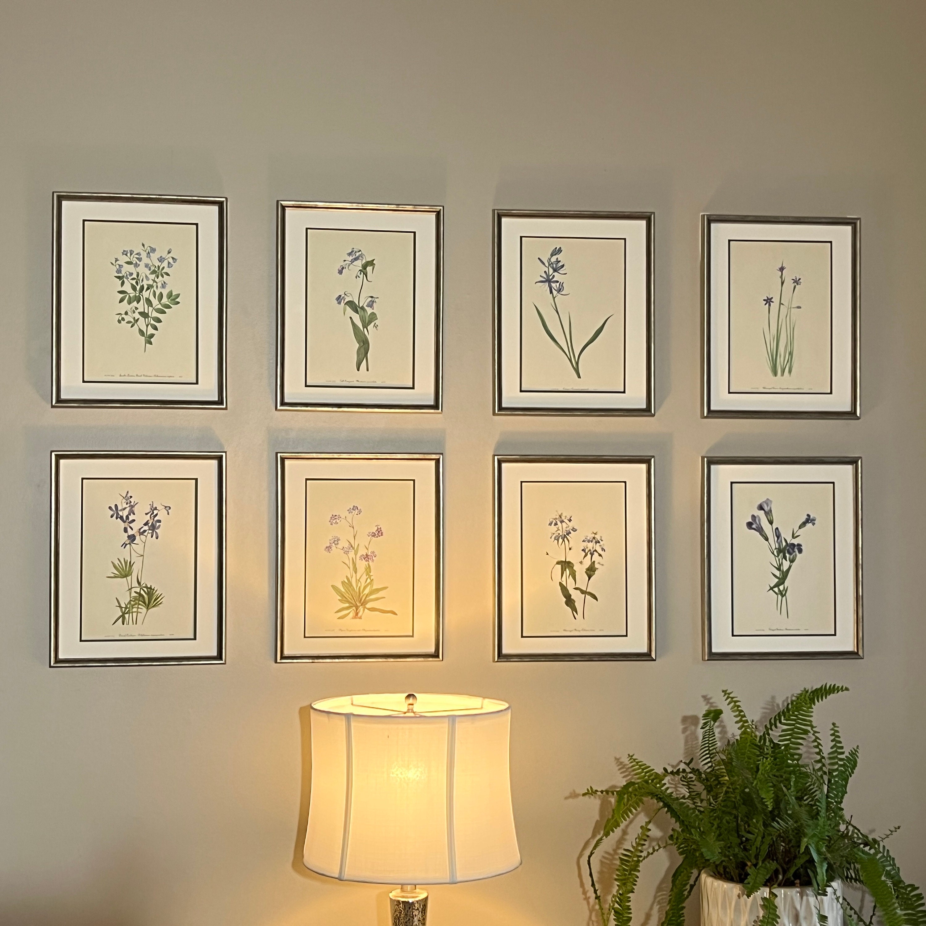 バラの植物画 シルバーフレーム付きΩ