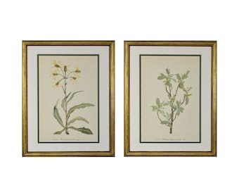 Vintage Botanical Prints, Set of 2,Gold Framed Original Wild Flower Botanical Set, Flower Wall Art- Authentic 1953 Botanical Prints
