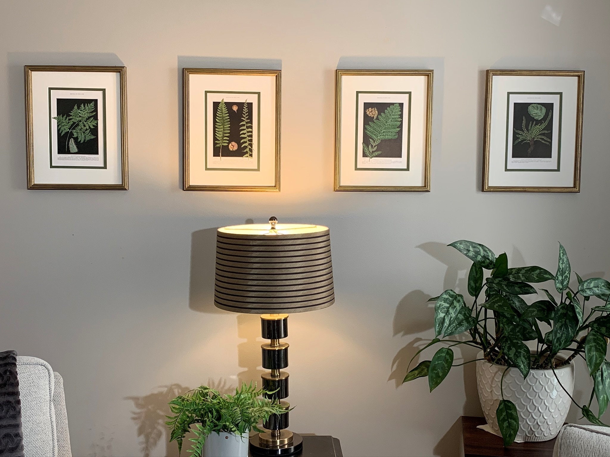 Vintage Botanical Prints, Framed Fern Set of 2 Botanicals, Authentic ...