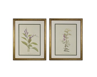 Framed Vintage Botanical Prints, Set of 2, Original 1953 Wild Flower Botanical Set, Purple Flower Wall Decor