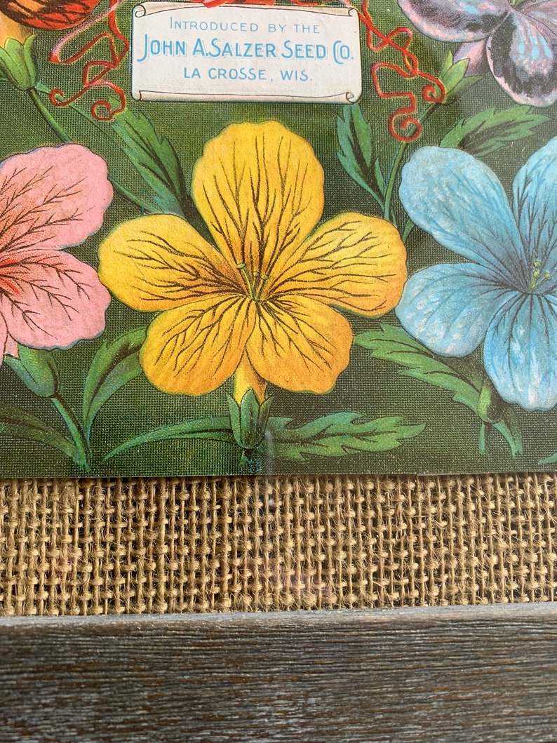 Origianl Circa Late 19th Century Vintage Flower Seed Catalog Cover Original Botanical Framed Vintage Wall Decor