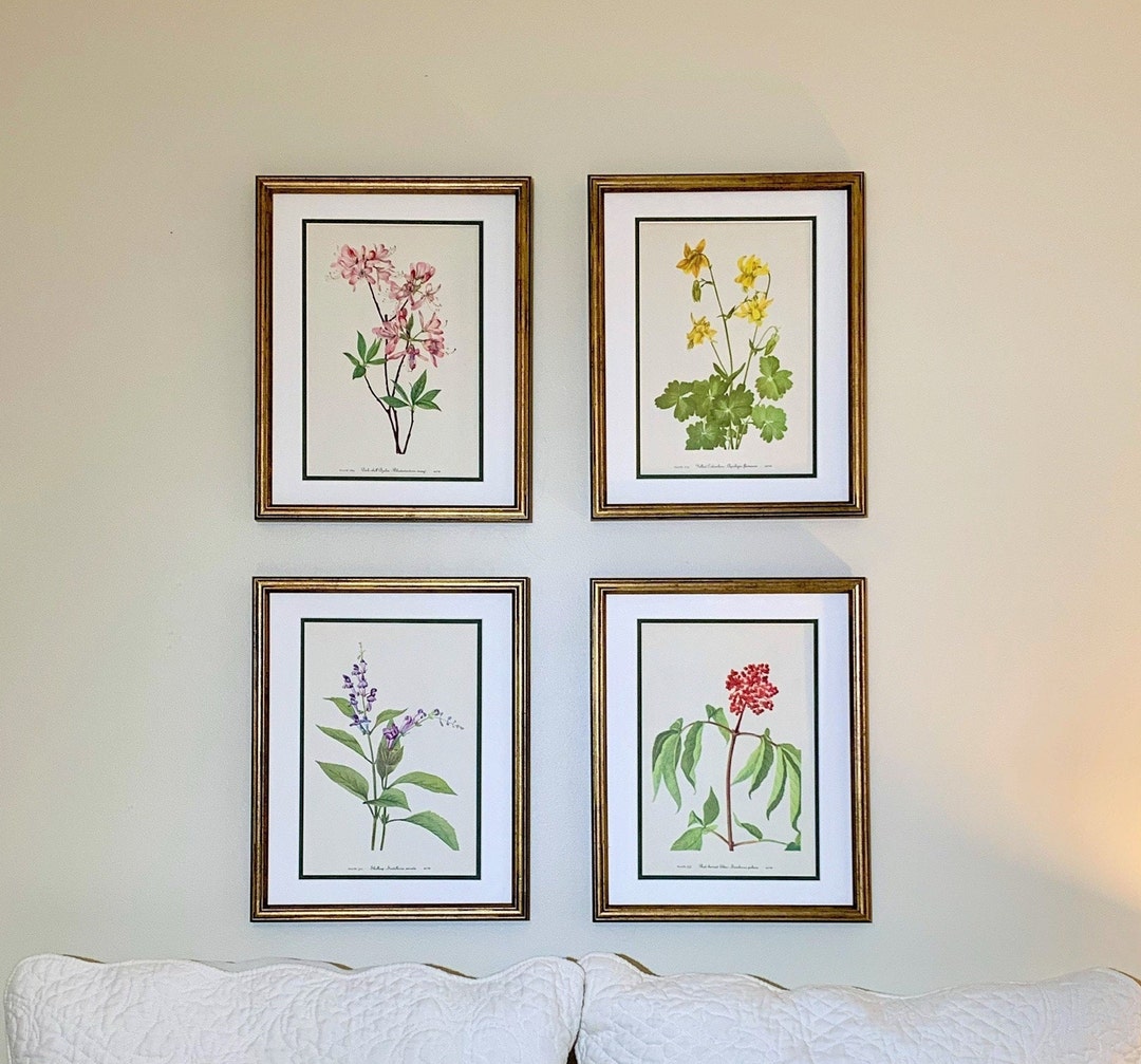 Vintage Botanical Prints, Set of 4, Framed Original Wild Flower Prints ...