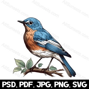 Mountain Bluebird Clipart svg png psd pdf jpg File Types Idaho Nevada State Bird Tree Branch Commercial Use Print on Demand Graphic