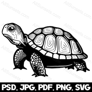 Turtle Silhouette svg png psd jpg pdf File Types Box Tortoise Land Turtles Vector Graphic Clipart Commercial Use