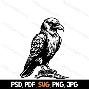 Raven On A Branch Silhouette svg png jpg psd pdf File Types Crow Black Bird Commercial Use Print on Demand Graphic