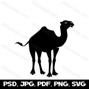 Camel Silhouette svg png psd pdf jpg eps Transparent Commercial Use Print on Demand Graphics Clipart *Original Hand Drawn