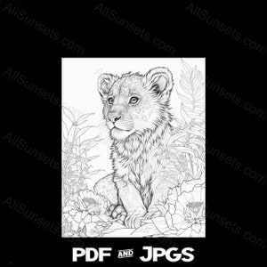 Schattige Lion Cub kleurboek 8 pagina&#39;s PDF en JPG bestandstypen Forest Frame silhouet Clipart commercieel gebruik Print on Demand Graphics