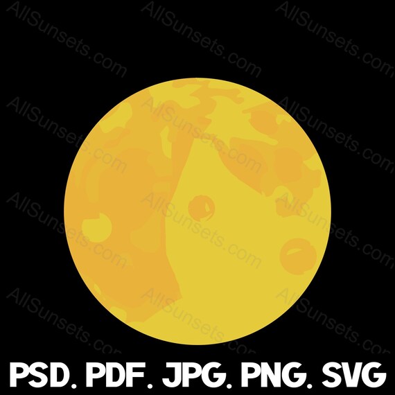 P. willinckii Yellow Moon original pup 8900円 - n3quimica.com.br