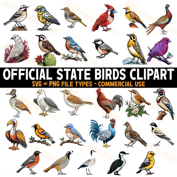 Official State Birds Clipart Bundle SVG and PNG Files Commercial Use All 50 States Official Birds Included