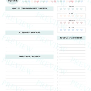 Baby and Me Pregnancy Planner 2-pack Birth Plan Appointments Memories ...