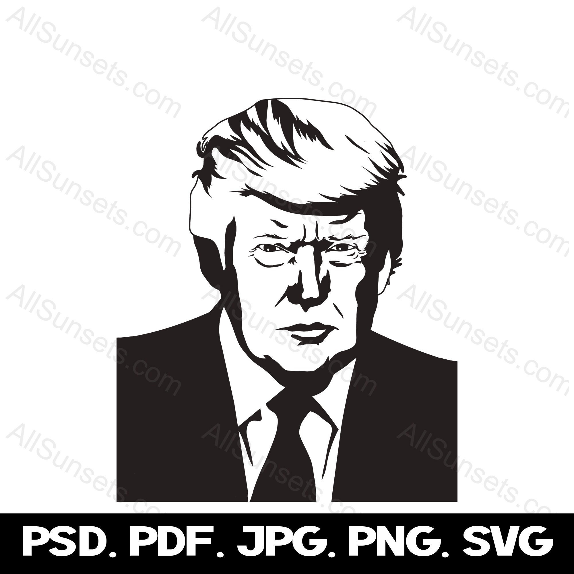 ドナルド・トランプ大統領グラフィック 肖像画 第45代大統領 ドナルド・トランプ大統領グラフィック 肖像画 第45代大統領