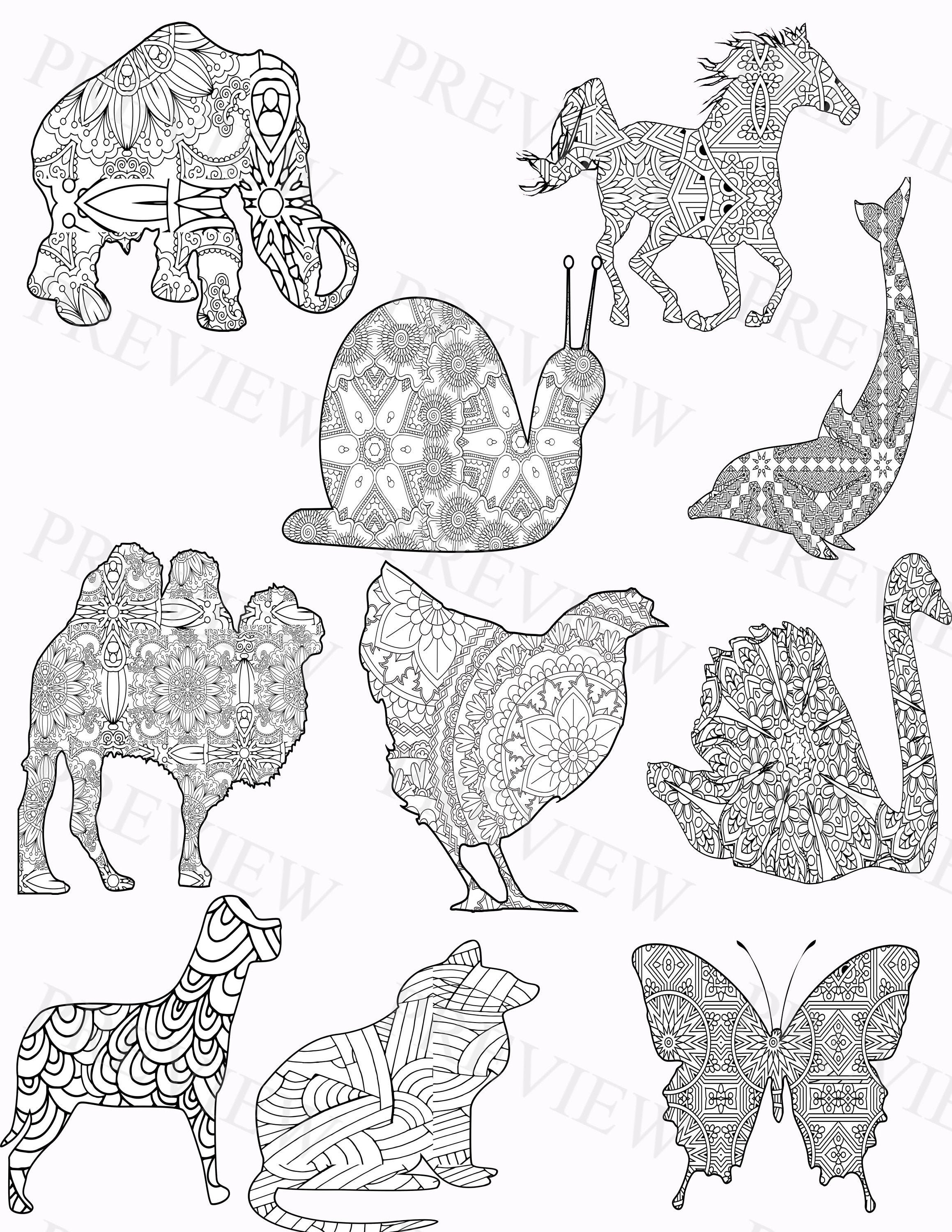 Download Kdp Interior Mandala Animals 8 5 X 11 Elephant Horse Snail Etsy