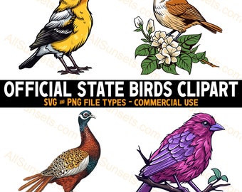 Official State Birds Clipart Bundle SVG and PNG Files Commercial Use All 50  States Official Birds Included
