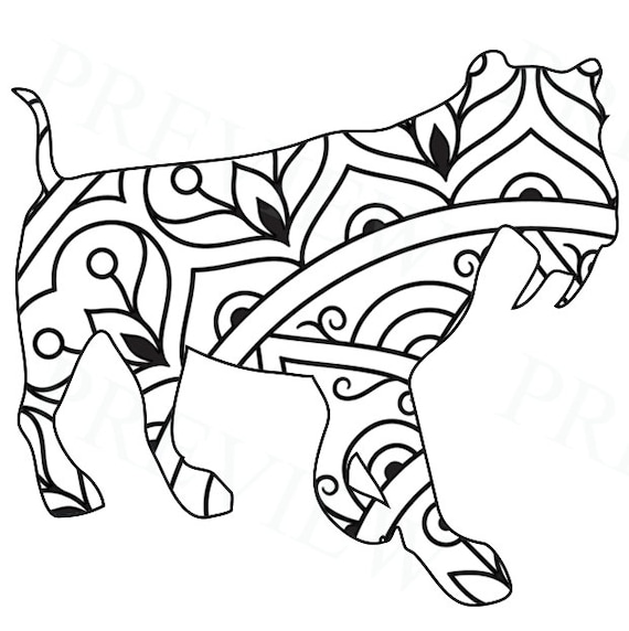 KDP Mandala Dinosaurios Dibujos para colorear Interior PDF 14 - Etsy México KDP Mandala Dinosaurios Dibujos para colorear Interior PDF 14 - Etsy México