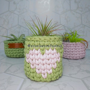 Decorative Crochet Air Plant Plant Pot Cover • handmade removable plant pot cover, flower pot, planter, storage basket, t-shirt yarn