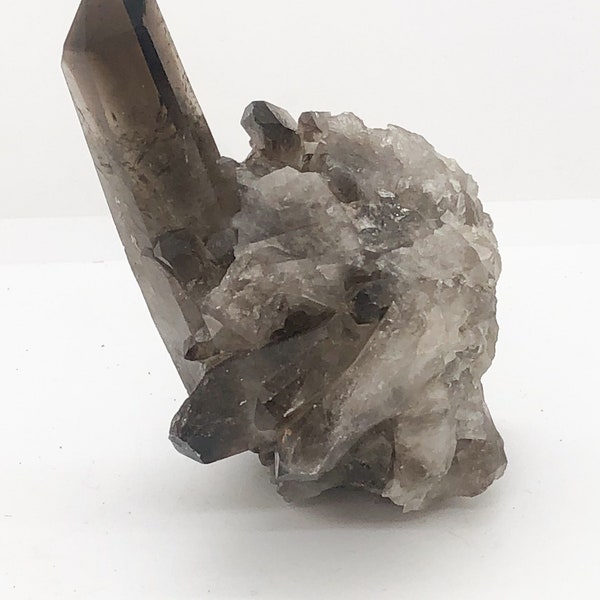 Brazilian Smoky Quartz Druse Geode Rough Crystal Mineral Specimen