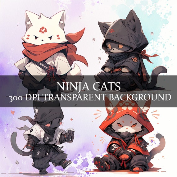 Copy cat Ninja Daughter | Quotev