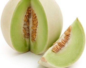 Honeydew Melon Seeds,"COOL BEANS N sprouts" Brand. Home Gardening.