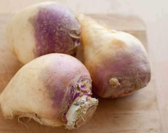 Könnte beinhalten: Drei ganze Steckrüben, auch bekannt als Schwedenkohl, auf einem Holzbrett. Die Steckrüben sind hellgelb mit einem violetten Farbton an der Oberseite.