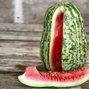 Watermelon Seeds, Klondike Blue Ribbon Striped Watermelon,"COOL BEANS N sprouts" Brand. Heirloom. Non-GMO. Home Gardening.