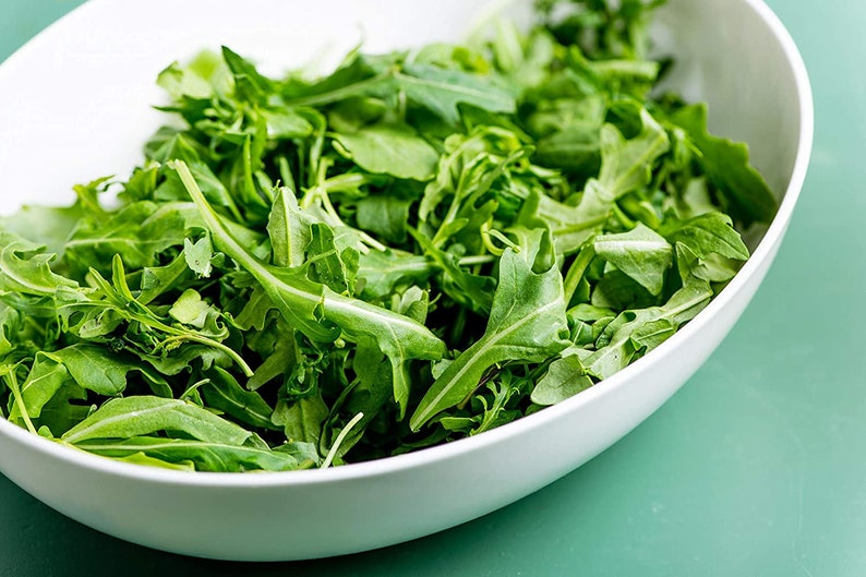 Lettuce Seeds Arugula Lettuce Seed Rocket Roquette Lettuce Etsy