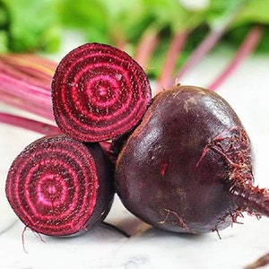 Beet Seeds Early Wonder, "COOL BEANS N sprouts" Brand. Home Gardening.