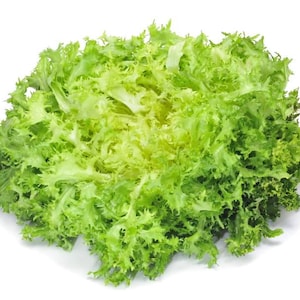 May include: A bunch of fresh green curly endive lettuce. The lettuce is tightly packed together and has a light green color.