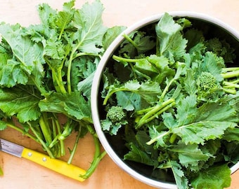 May include: A large bowl filled with fresh, green rapini, a leafy green vegetable with small, green flower buds. The rapini is arranged in a bowl on a wooden surface.